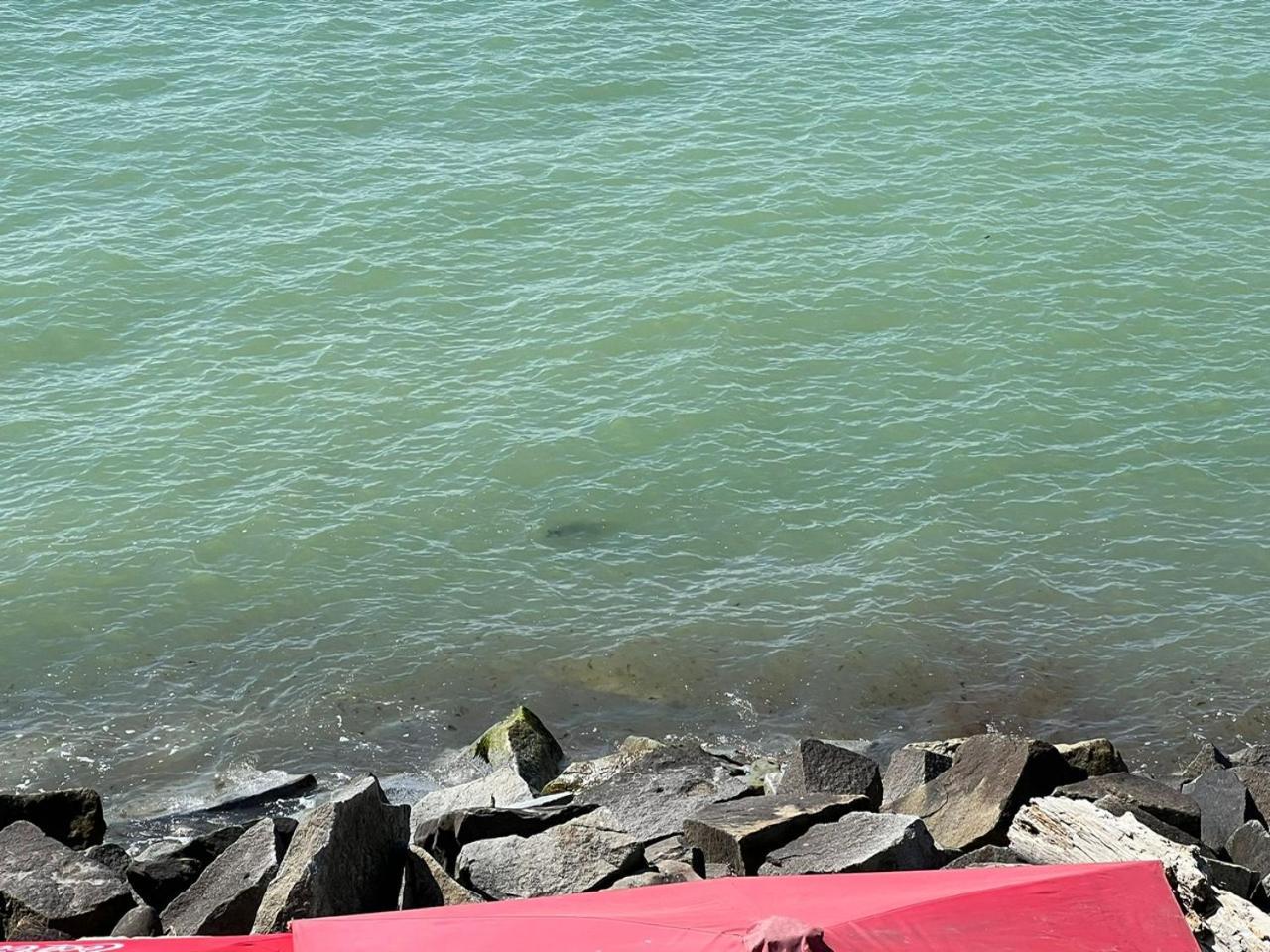 Отель Faehrblick - Direkt Am Wasser *