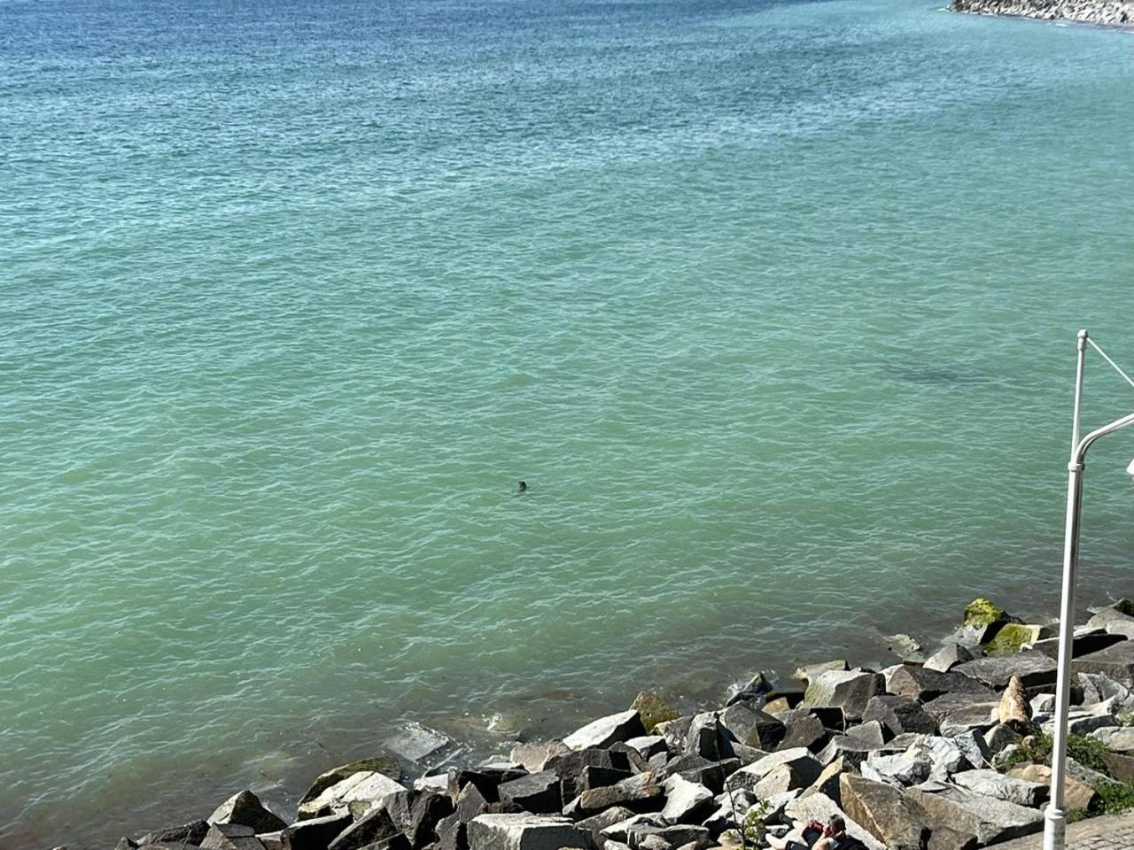 Отель Faehrblick - Direkt Am Wasser Засниц